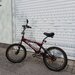 Biciclete 20